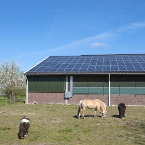 herosolcellerlantbruk_1200px_web